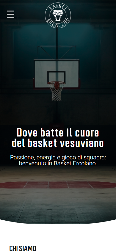 Basket Ercolano — Stile